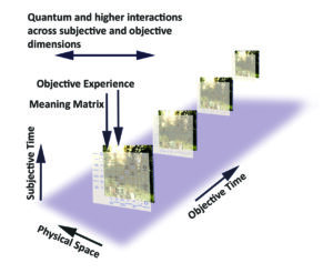 4 vertically ascending and horizontally distancing squares containing a back panel image of nature, and a front panel image of the meaning matrix. Subjective time moves upward, and objective time moves horizontally.